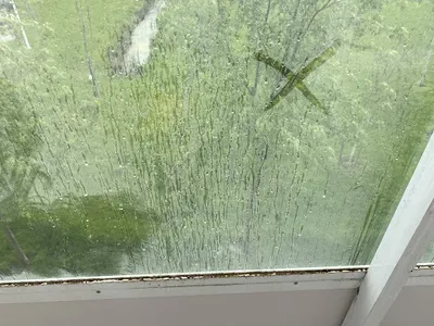 ZWINNA MIOTŁA -usługi sprzątające